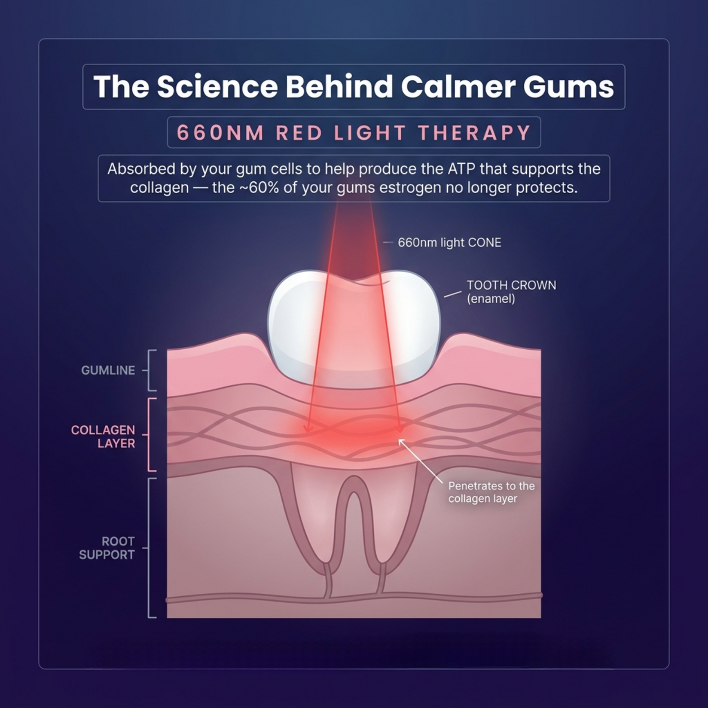 Solstra — The Menopause Mouth Rescue Kit