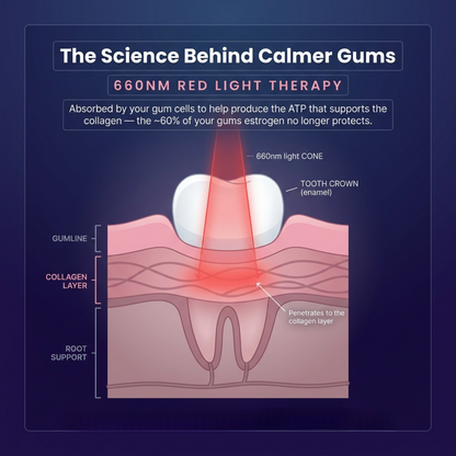 Solstra — The Menopause Mouth Rescue Kit