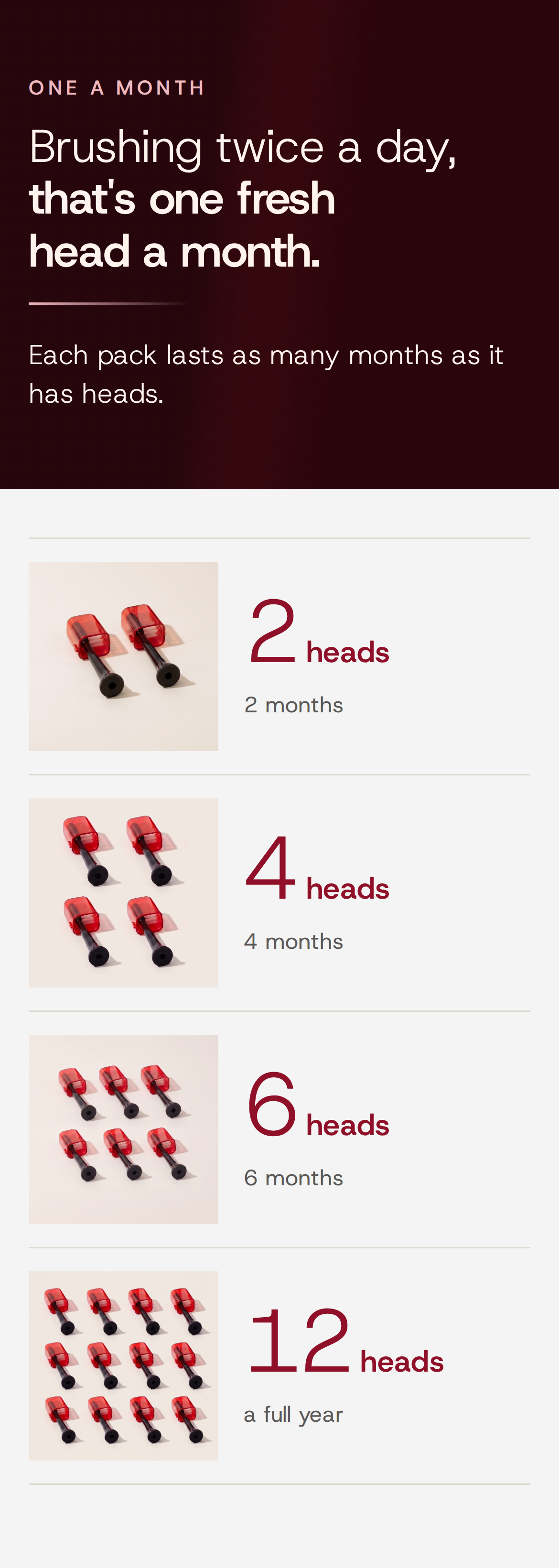 One a month. Brushing twice a day, that's one fresh head a month. Each pack lasts as many months as it has heads. 2 heads, 2 months. 4 heads, 4 months. 6 heads, 6 months. 12 heads, a full year. Each pack is shown in a photo of its Solstra replacement brush heads, with their red caps.